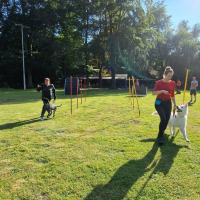 IMG-20220918-WA0009