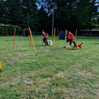IMG-20220918-WA0010
