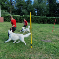 IMG-20220918-WA0011