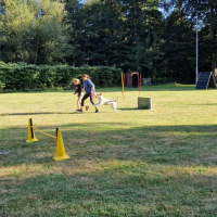 IMG-20220918-WA0017