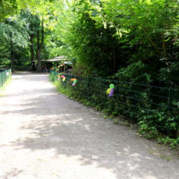 Sommerfest2019_0292