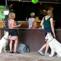 Sommerfest2019_0326