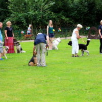 Sommerfest2019_0336