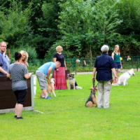 Sommerfest2019_0338