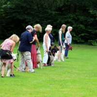 Sommerfest2019_0343