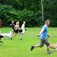 Sommerfest2019_0347