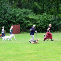Sommerfest2019_0348