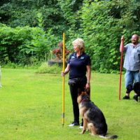 Sommerfest2019_0357