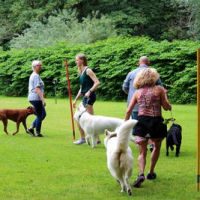 Sommerfest2019_0362