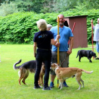 Sommerfest2019_0374