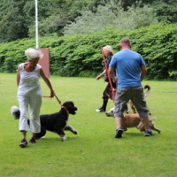Sommerfest2019_0379