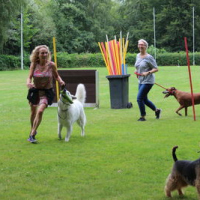 Sommerfest2019_0384