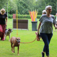 Sommerfest2019_0386