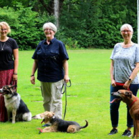 Sommerfest2019_0394