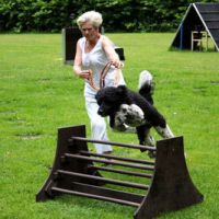 Sommerfest2019_0412