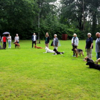 Sommerfest2019_0515