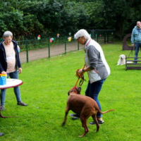 Sommerfest2019_0524