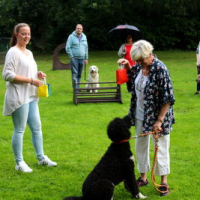 Sommerfest2019_0533
