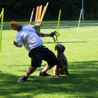 Sommerfest23_20