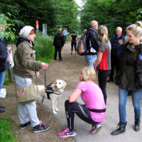 ths2014torneschcupii_0561