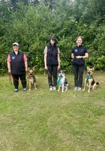Turnierberichte Rally Obedience Saison 2024/25