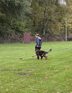Herbstprüfung am 25.10.2025