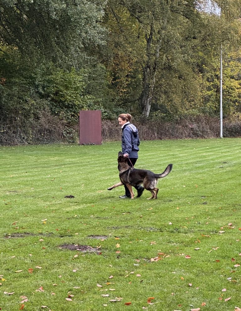 Herbstprüfung am 25.10.2025