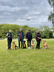 Rally Obedience Turnierberichte 1. Halbjahr 2026